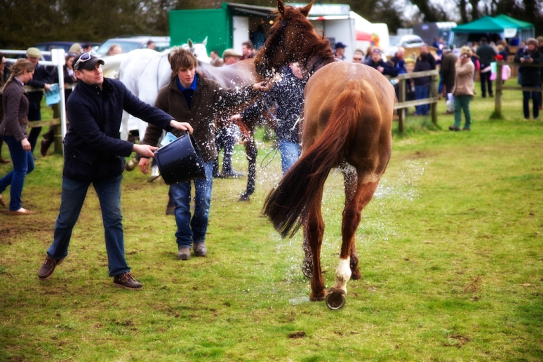 Andoversford Point to Point